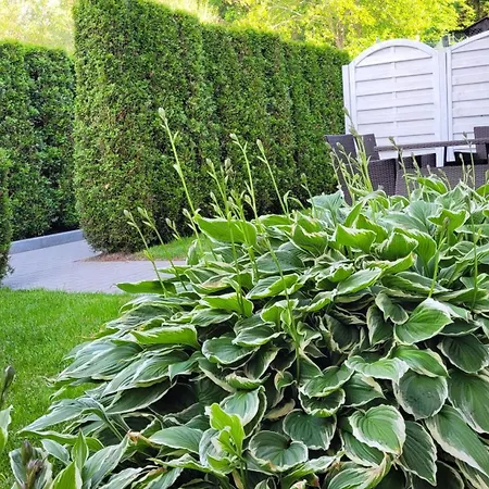 Zeglarzy-apartamenty 3pokojowe Jaktstuga Rusinowo (Slawno)